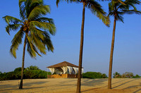 Goa, February 2012